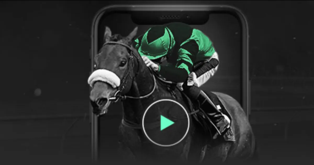 刘梦婷,新生代翘楚,金牌梦想之,世界杯小组赛,2026世界杯,小组赛日程,球队信息,比赛城市