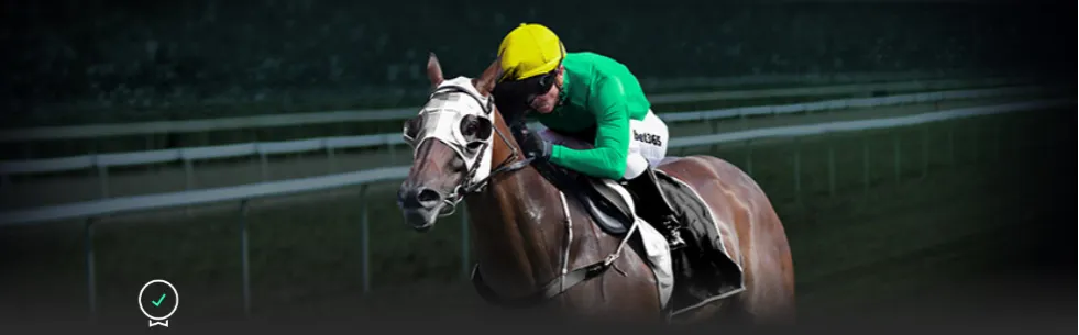 我国水利投,资年额再创,新高,世界杯小组赛,2026世界杯,小组赛日程,球队信息,比赛城市